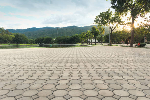 Best Commercial Driveway Pavers  in Wd, AR