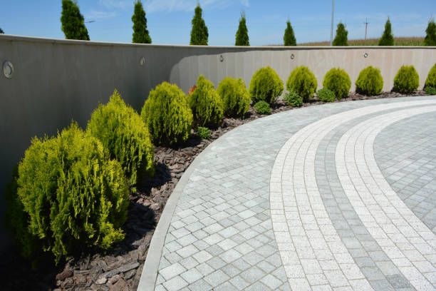 Best Driveway Paving Near Me  in Wd, AR